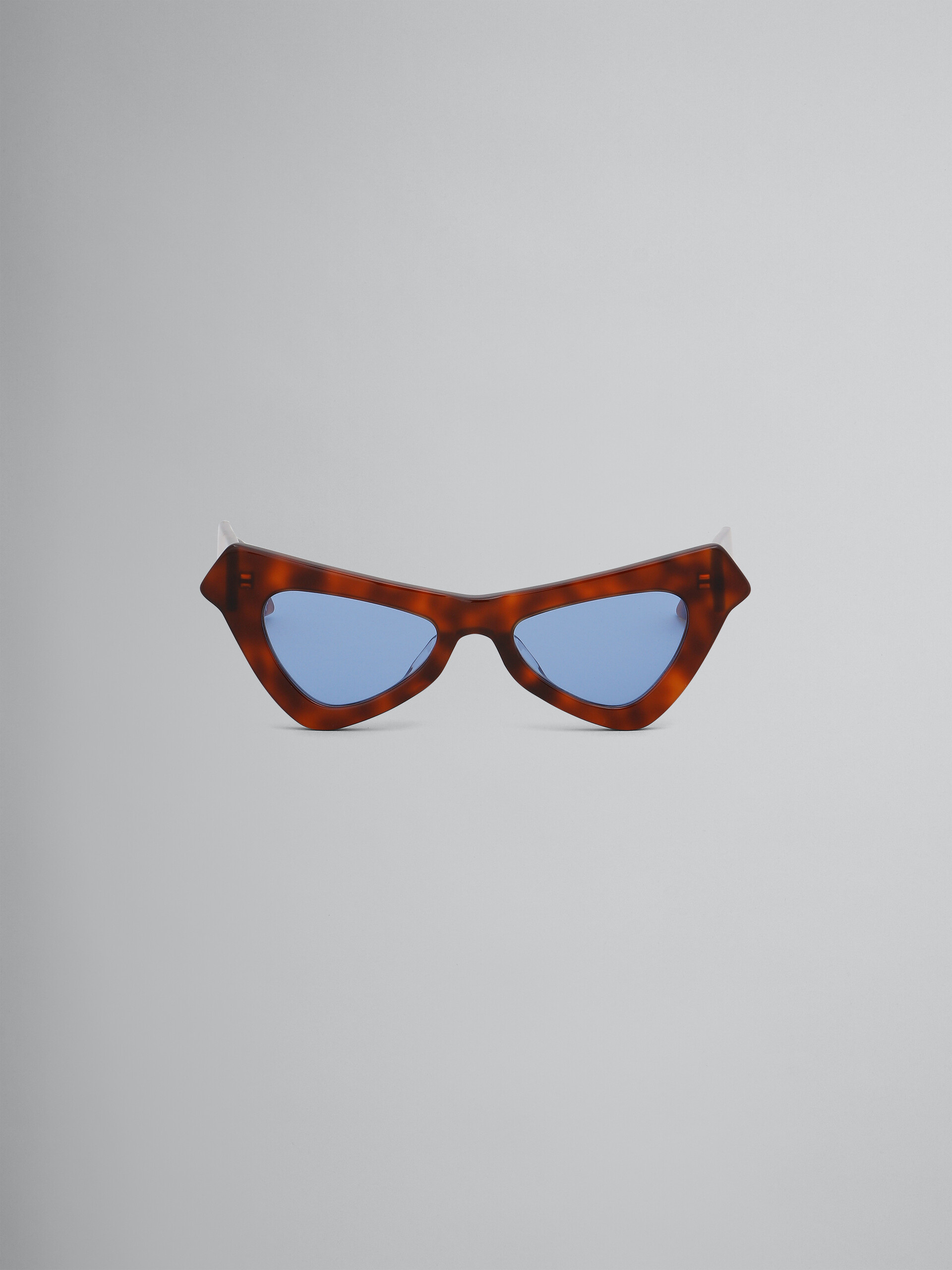 Tortoiseshell Fairy Pools Havana acetate sunglasses - Optical - Image 1