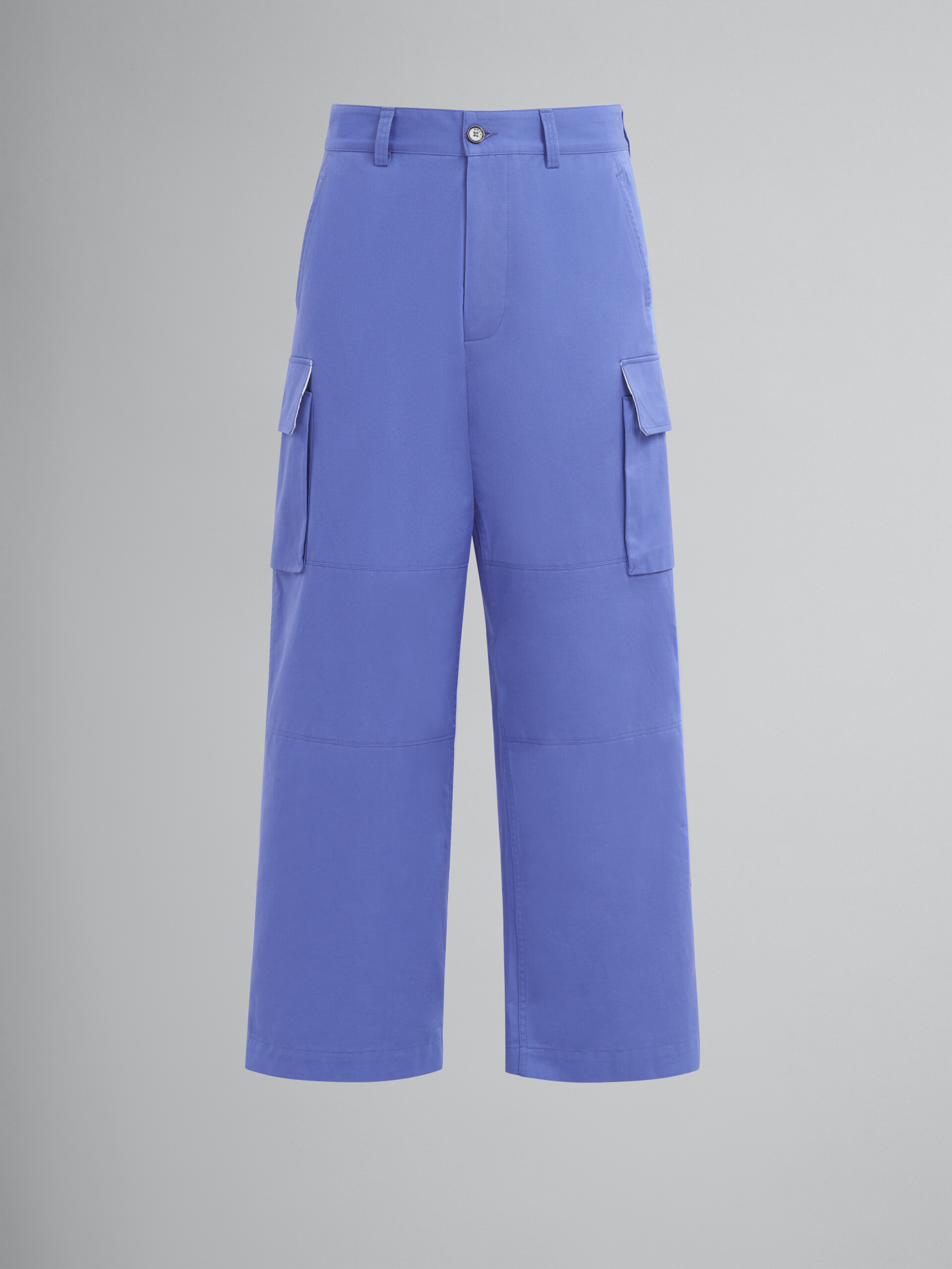 Indigo organic cotton cargo pants - Pants - Image 1